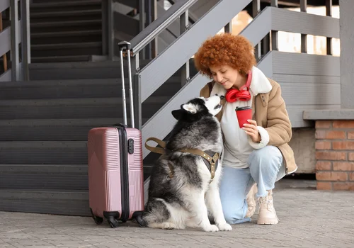 Podróż z psem już nie taka prosta? Te zmiany mogą pokrzyżować plany wakacyjne!