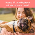Poznaj 27 zaskakujących faktów na temat psów!