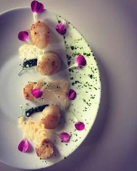 Przegrzebki z musem kolendrowo – pietruszkowym i chipsem z parmezanu