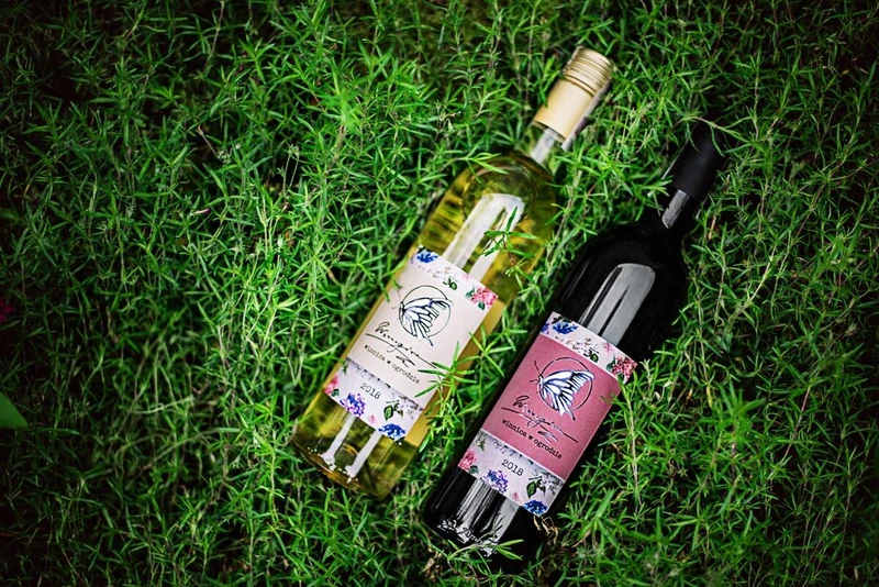 Polskie wino – gdzie się je produkuje i jak smakuje