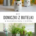 DIY Doniczka z plastikowej butelki
