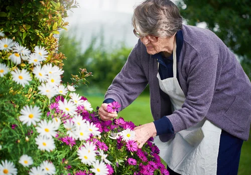 6900 zł co miesiąc bez względu na staż pracy! Od marca 2026 nowa kwota świadczenia z ZUS