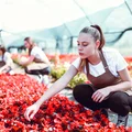 Młodzież na rynku pracy: Jak zatrudnić osobę poniżej 18. roku życia i uniknąć problemów?
