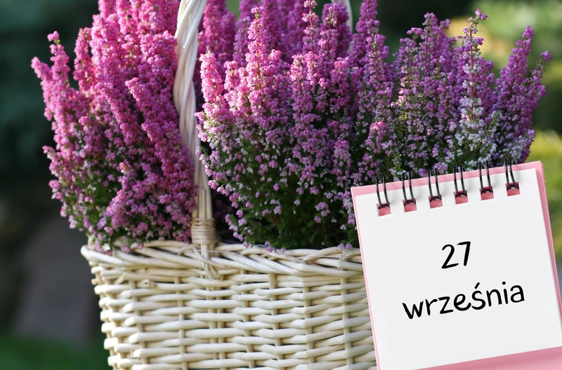Kartka z kalendarza: 27 września - imieniny, gwiazdy, nietypowe święta! Odkryj sekrety tego dnia!