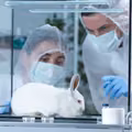 Światowy Dzień Zwierząt Laboratoryjnych – Dzień Refleksji nad Losami Zwierząt w Nauce
