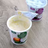 Bezmleczne desery roślinne Koko Yogo i Yagły Yogo - test.