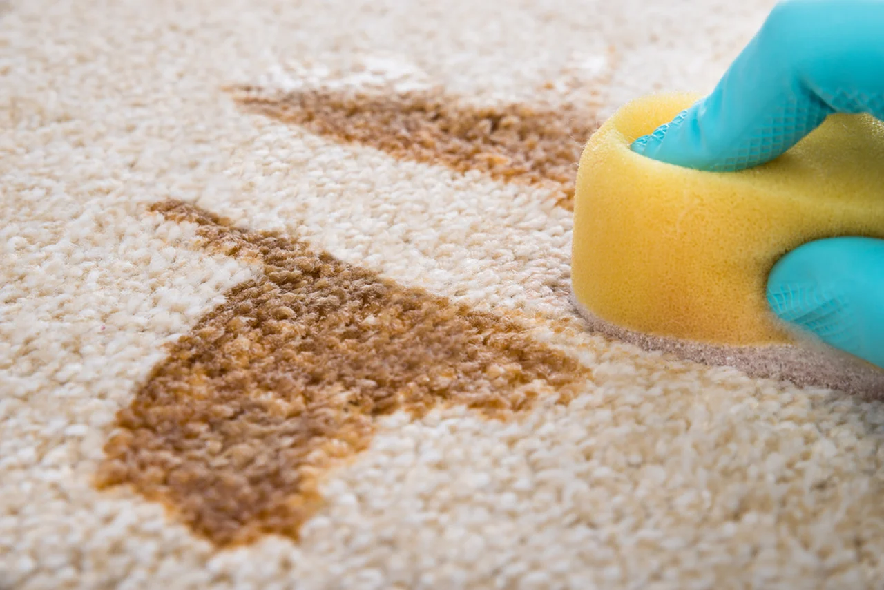 JAK SKUTECZNIE usunąć plamę z dywanu?