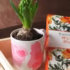 DIY: Proste malowanie ceramiki