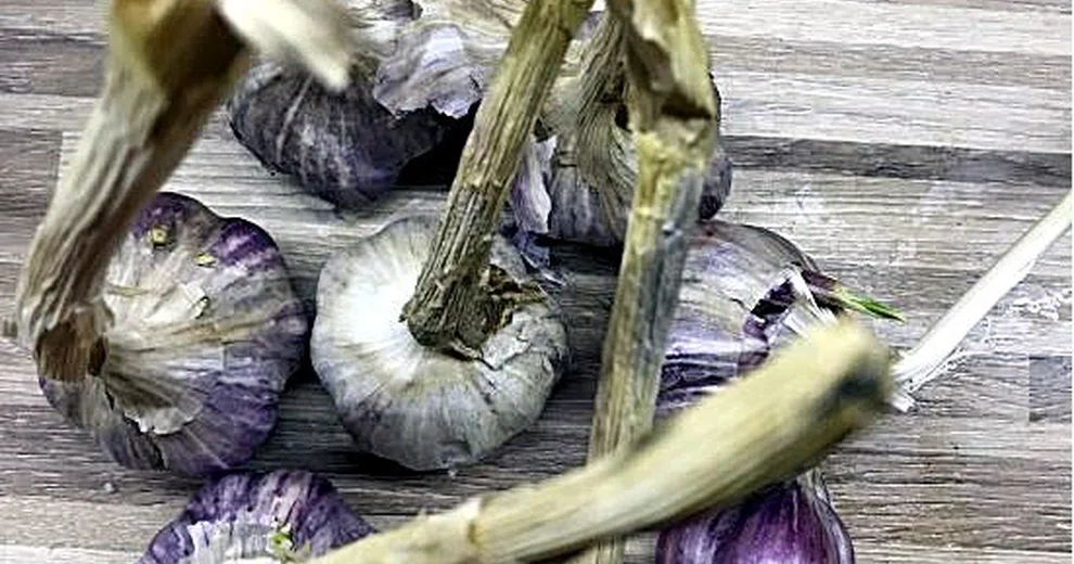 Czosnek czy można go mrozić ? I co z tego wynika ) Kobieceinspiracje.pl