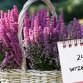 Kartka z kalendarza: 24 września - imieniny, gwiazdy, nietypowe święta! Odkryj sekrety tego dnia!