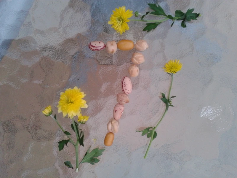 Dieta oczyszczająca 7 DNI