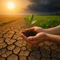 Dzień Walki z Pustynnieniem i Suszami – Jak zatrzymać degradację naszej planety?