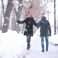 Zamiecie i śnieg do 50 cm! IMGW ostrzega – te rejony zasypie najmocniej!