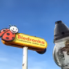 Znicze gratis w Biedronce! Co trzeba zrobić?