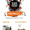 Black Friday - TO JUŻ DZIŚ !! Promocje znajdziesz zarówno w sklepie stacjonarnym jak i internetowym