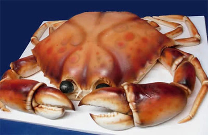 Torcik krab