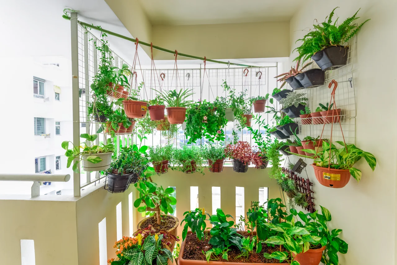 Jakie rośliny wybrać na balkon? Lisa roślin na balkon i nie tylko.