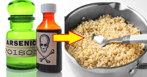 Brązowy ryż zawiera 10 razy więcej rakotwórczego arsenu niż inne zboża! Wiemy dlaczego...