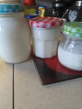 Domowy jogurt naturalny