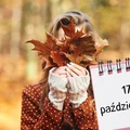 Kartka z kalendarza: 17 października - imieniny, gwiazdy, nietypowe święta! Odkryj sekrety tego dnia!