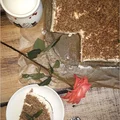 Ciasto bez pieczenia. Kremowy gotowany sernik