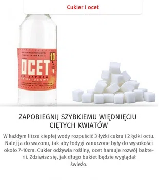 Co zrobić żeby kwiaty szybko nie zwiędły?