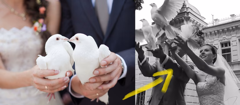 Puszczanie gołębi podczas ślubu - dlaczego nie jest to dobry pomysł?