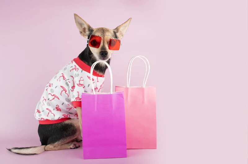 Te 2 znaki zodiaku zawsze wydają fortunę w sklepie! „Lista zakupów? A co to takiego?
