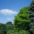 Międzynarodowy Dzień Czystego Powietrza dla Błękitnego Nieba: Dlaczego jest tak ważny?