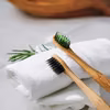 Naturalna pielęgnacja zębów – Modny trend, czy naprawdę skuteczna ochrona zębów i jamy ustnej?