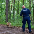 Policyjny pies Lingwa odnalazł zaginionego 46-latka