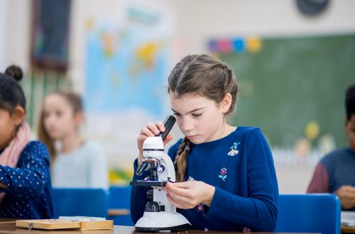Fizyka, biologia i geografia razem? Nowy przedmiot „przyroda” już od 2026!