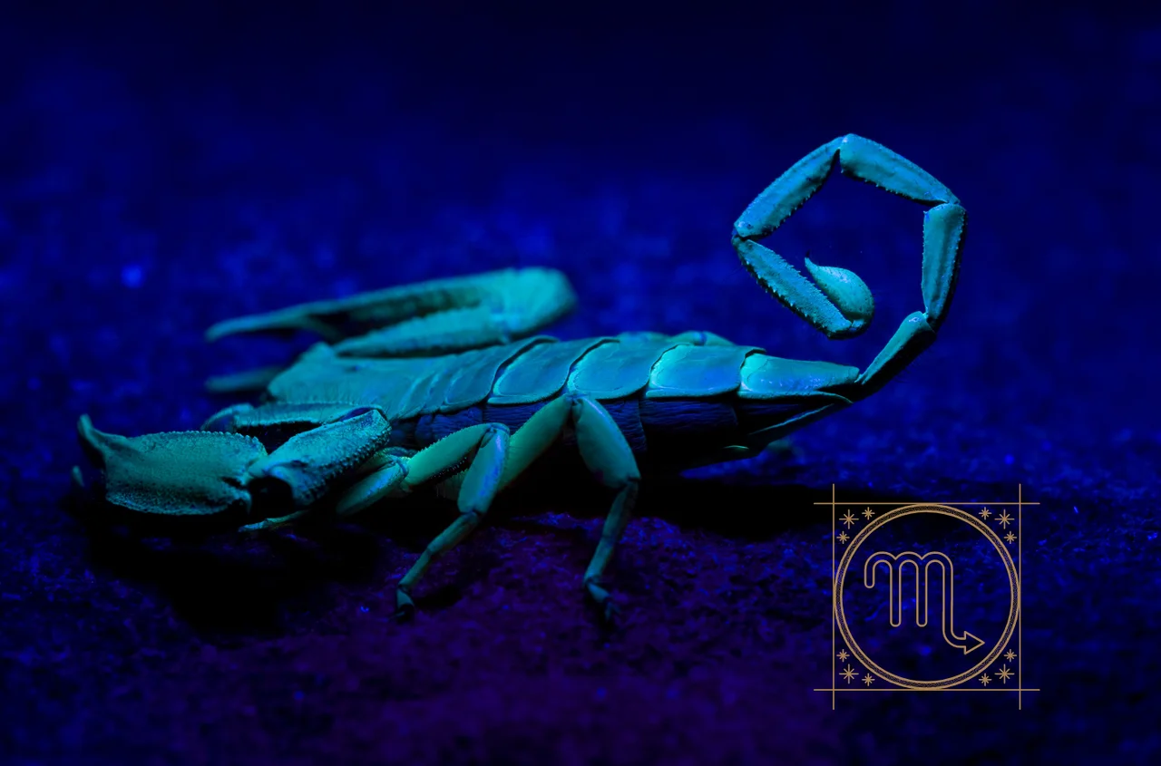 Dlaczego skorpion jest uznawany za najgorszy znak zodiaku?