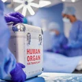 Dzień Transplantacji: Historia, Znaczenie i Wyzwania