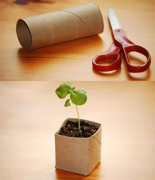 Użyj papieru toaletowego do stworzenia początkowej doniczki dla Twojej roślinki