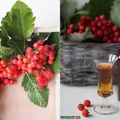 Nalewka z jarzębiny z suszonymi śliwkami