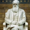 Światowy Dzień Darwina: Jak Ewolucja Kształtuje Nasz Świat