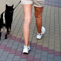 Chciała uratować psa, została za to skazana!