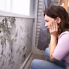 Dlaczego warto codziennie wietrzyć mieszkanie? Nawet jesienią i zimą
