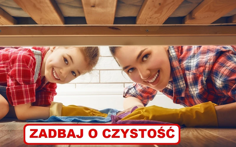 5 sprawdzonych sposobów na CZYSTOŚĆ W DOMU