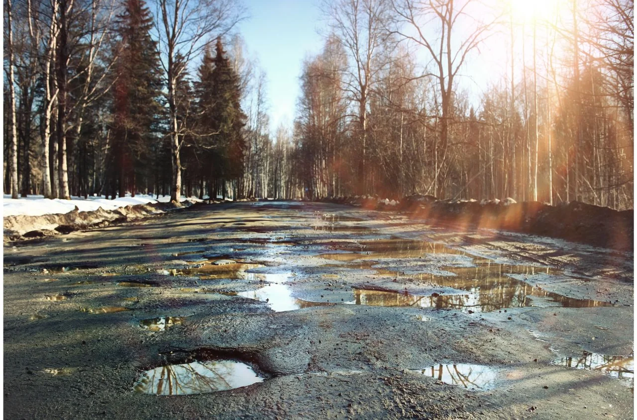 Wiosna w Polsce przyspiesza. Tak zacznie się nowy tydzień!