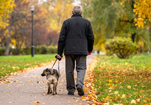 4320 zł emerytury dla seniora w 2026 roku!? ZUS zapowiedział wzrost wielu świadczeń