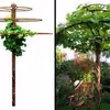 Zielony parasol w ogrodzie