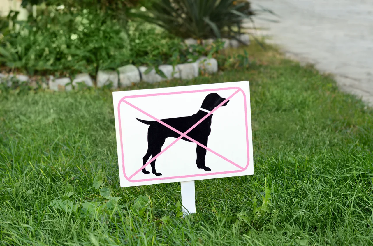 Rewolucyjna ustawa! Ta rasa psów została zakazana!