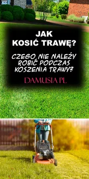 Jak Kosić Trawę? Czego Nie Należy Robić Podczas Koszenia Trawy?