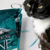 Purina One - czy to karma dla Twojego kota?