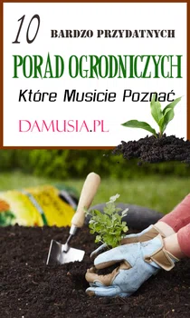 10 Bardzo Przydatnych Porad Ogrodniczych Które Musicie