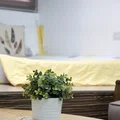 5 roślin, które musisz mieć w sypialni, aby dobrze spać!