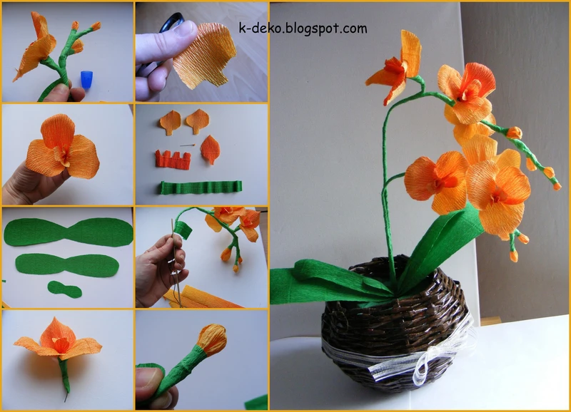 storczyk,orchidea z krepiny-krok po kroku
