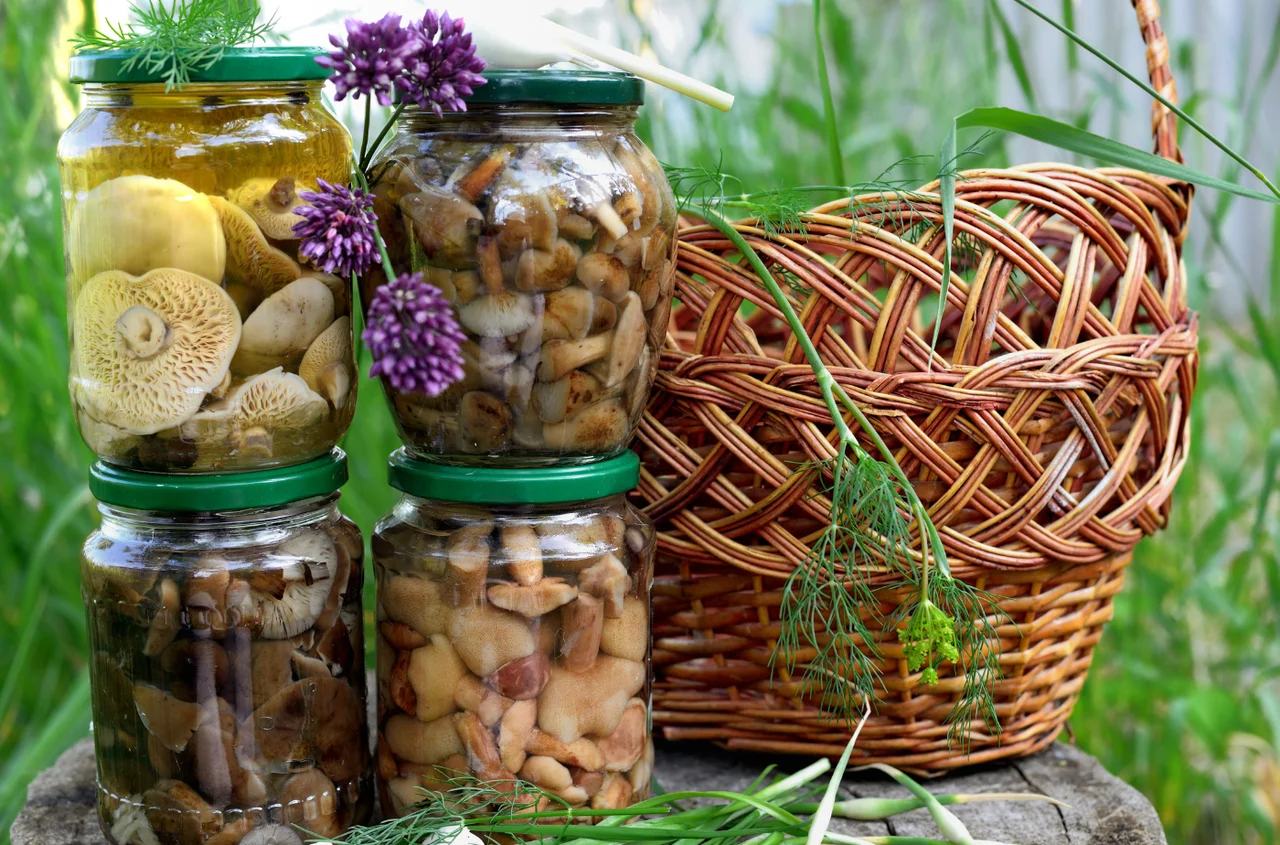 Koniec z suszeniem i mrożeniem! Grzyby w solance to absolutny hit tego sezonu!